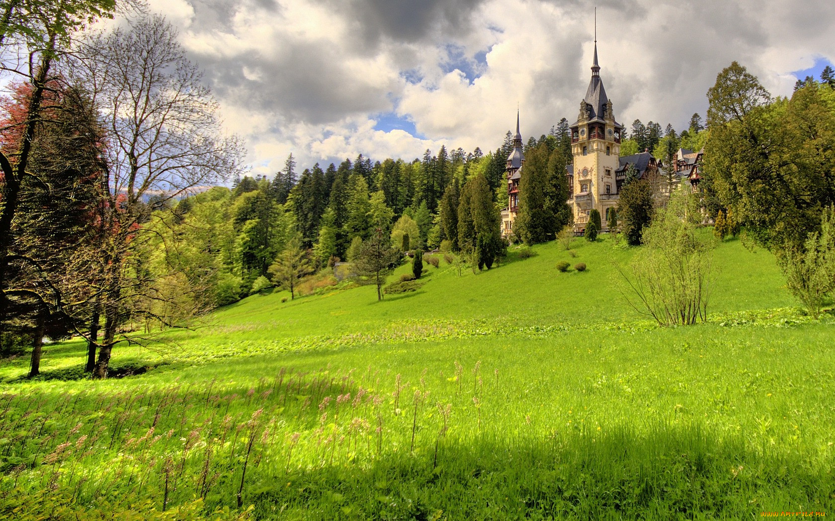 peles, castle, sinaia, romania, , , , 